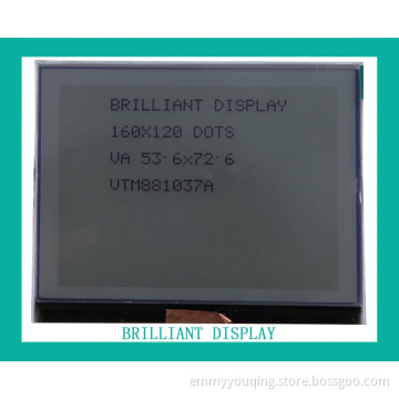 FSTN 160*120 Dots LCD Displays with RoHS Certification (VTM881037A00)